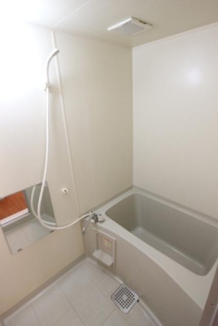 セレニティーホームズ　Ａ（302） 部屋画像