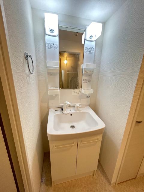 ラフィーヌ青葉台（0401） 洗面