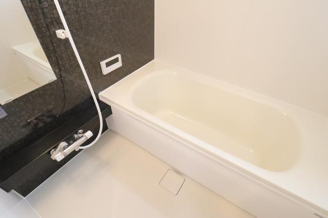 ﾛｲｼﾞｪﾝﾄﾊﾟｰｸｽ ﾚｲｸﾀｳﾝ Ⅱ　A（206） 部屋画像