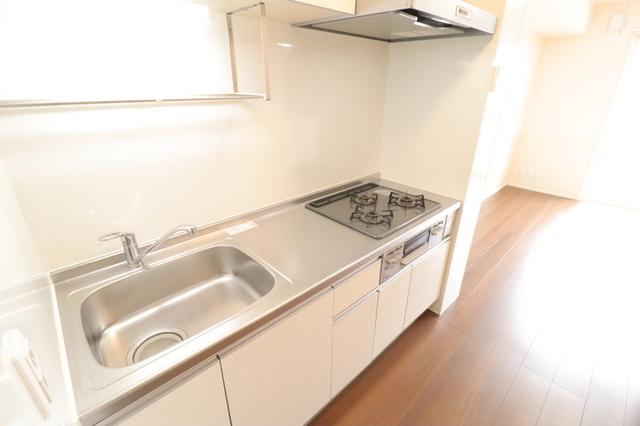 ﾛｲｼﾞｪﾝﾄﾊﾟｰｸｽ ﾚｲｸﾀｳﾝ　Ｅ（307） 部屋画像