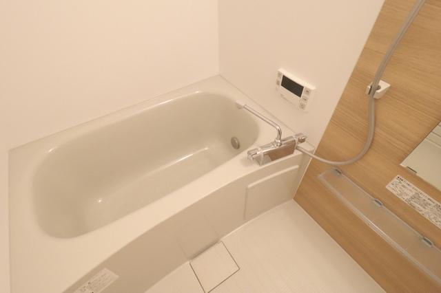 ﾛｲｼﾞｪﾝﾄﾊﾟｰｸｽ ﾚｲｸﾀｳﾝ　Ｅ（106） 部屋画像