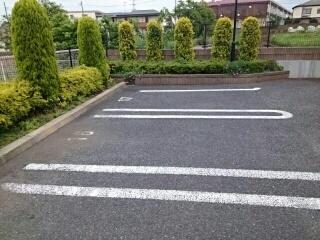 クリプトメリア（306） 駐車場