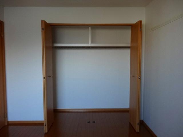 クリプトメリア（306） 収納