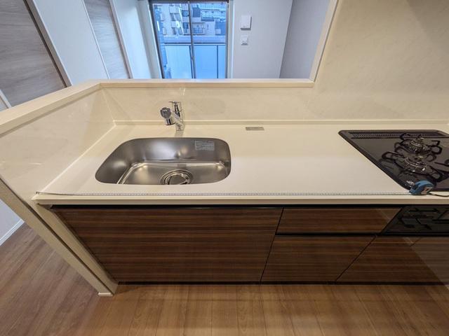 ドリーム神楽坂（501） 部屋画像
