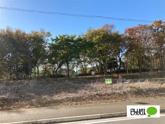 緑が丘西５丁目貸地（0001） その他