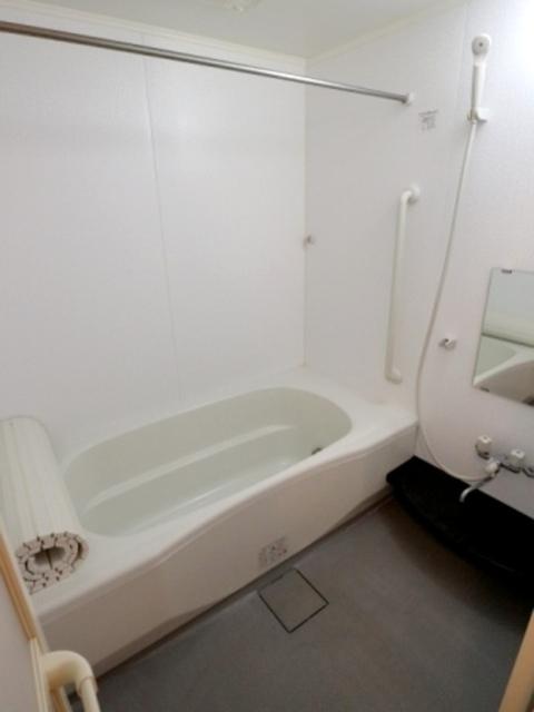 カシータ　Ⅱ（102） 部屋画像