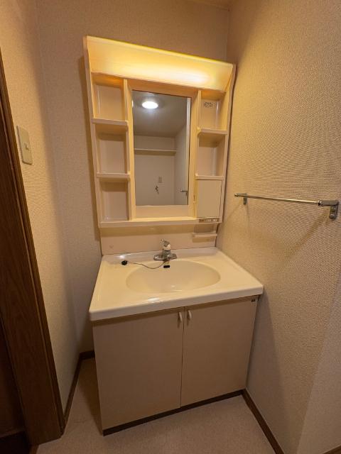 ビューテラス 洗面