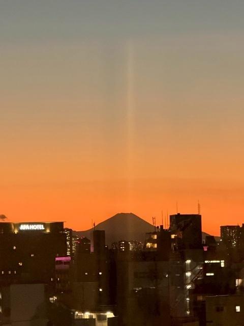 アルファグランデ日暮里（1102） 部屋画像