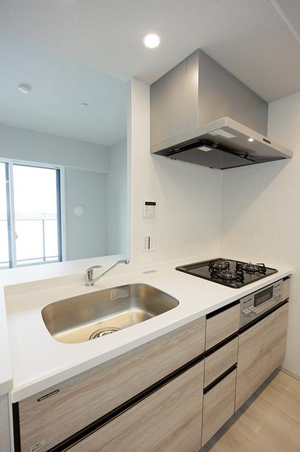 スカイグランデ津田沼（916） 部屋画像