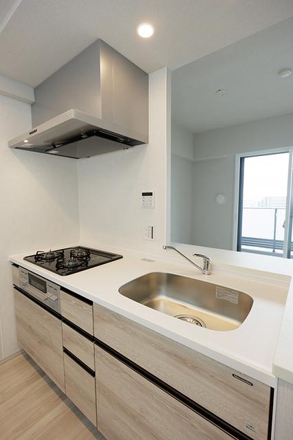 スカイグランデ津田沼（917） 部屋画像