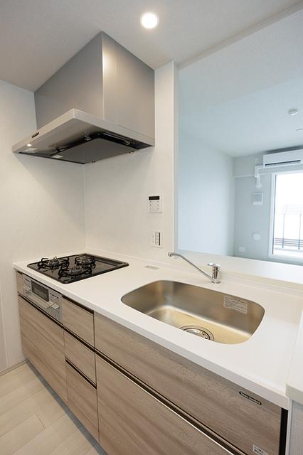スカイグランデ津田沼（919） 部屋画像