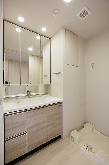 スカイグランデ津田沼（919） 部屋画像