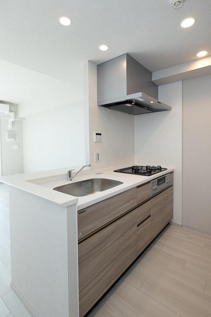 スカイグランデ津田沼（1016） 部屋画像