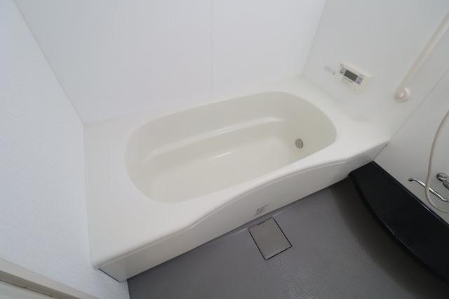 セタンドール緑町（205） 部屋画像
