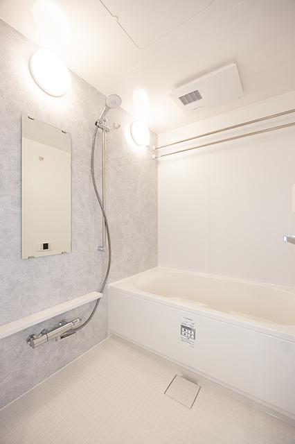スカイグランデ津田沼（103） 部屋画像