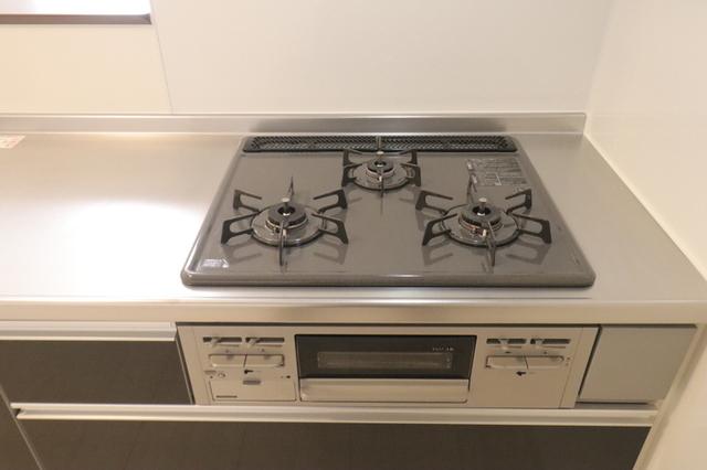 ﾛｲｼﾞｪﾝﾄﾊﾟｰｸｽ ﾚｲｸﾀｳﾝ Ⅱ　A（306） 部屋画像