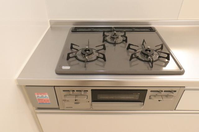 ﾛｲｼﾞｪﾝﾄﾊﾟｰｸｽ ﾚｲｸﾀｳﾝ Ⅲ　Ｉ（101） 部屋画像