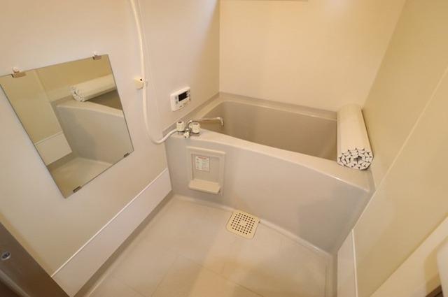メゾン・ド・ルミエール（101） 部屋画像