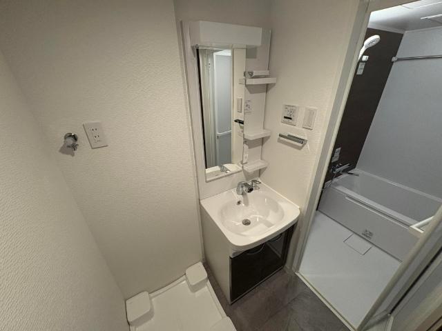S-RESIDENCE中新町avelis（705） 洗面