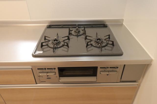 ﾛｲｼﾞｪﾝﾄﾊﾟｰｸｽ ﾚｲｸﾀｳﾝ Ⅲ　Ｏ（110） 部屋画像