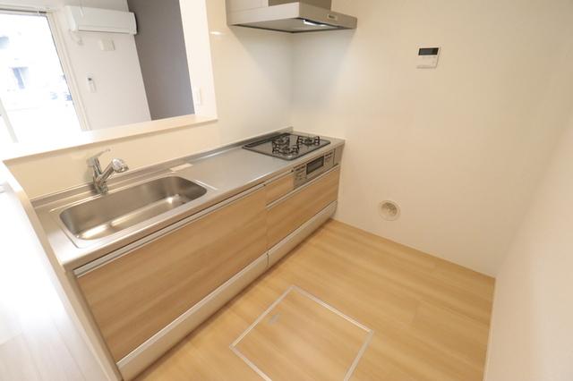 ﾛｲｼﾞｪﾝﾄﾊﾟｰｸｽ ﾚｲｸﾀｳﾝ Ⅲ　Ｏ（110） 部屋画像