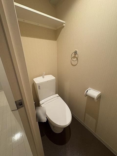 カスタリア本駒込（312） トイレ