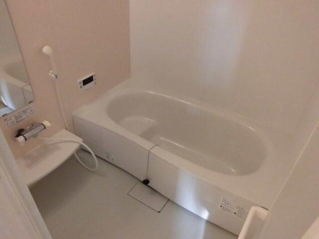 ﾛｲｼﾞｪﾝﾄﾊﾟｰｸｽ ﾚｲｸﾀｳﾝ　Ｄ（108） 部屋画像