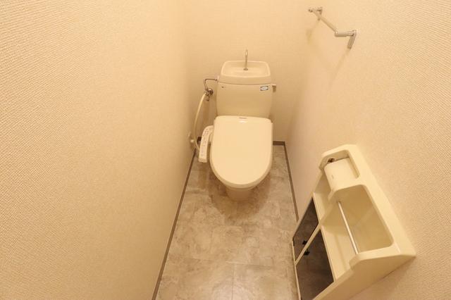 ピラタス　Ⅴ（302） 部屋画像