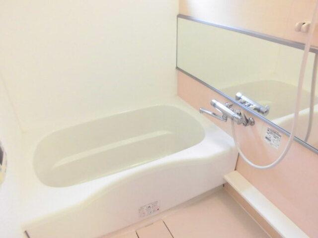 アヴェニール志津　A（301） 部屋画像