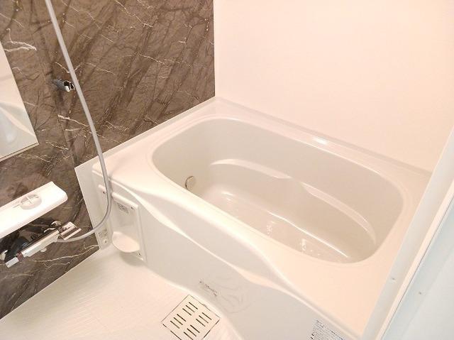 ＢＲＩＳＥ（101） その他部屋・スペース