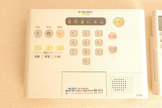 ﾛｲｼﾞｪﾝﾄﾊﾟｰｸｽ ﾚｲｸﾀｳﾝ Ⅱ　C（103） 部屋画像