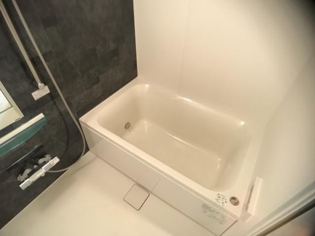 八潮市伊勢野新築アパート 部屋画像