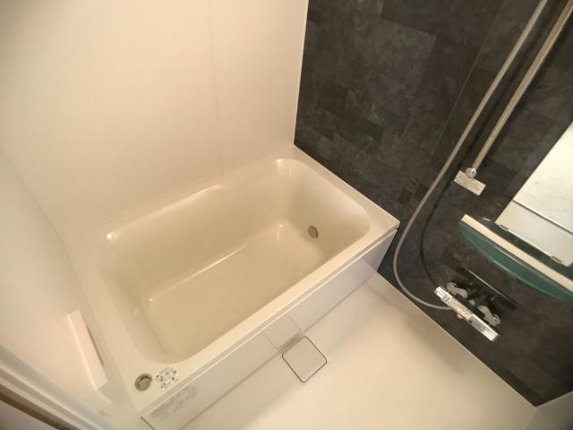 八潮市伊勢野新築アパート 部屋画像