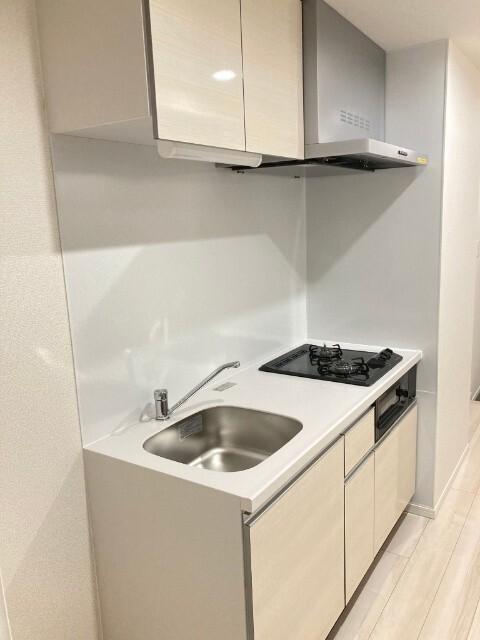 αＮＥＸＴ錦糸町 部屋画像