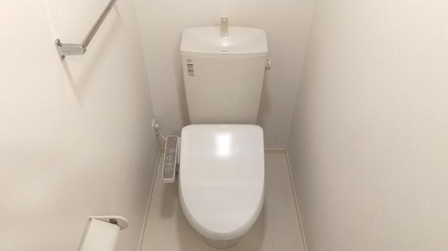 ﾛｲｼﾞｪﾝﾄﾊﾟｰｸｽ ﾚｲｸﾀｳﾝ　Ｌ（107） 部屋画像