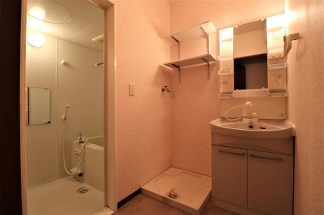 ヴェルドミール　c（102） 部屋画像