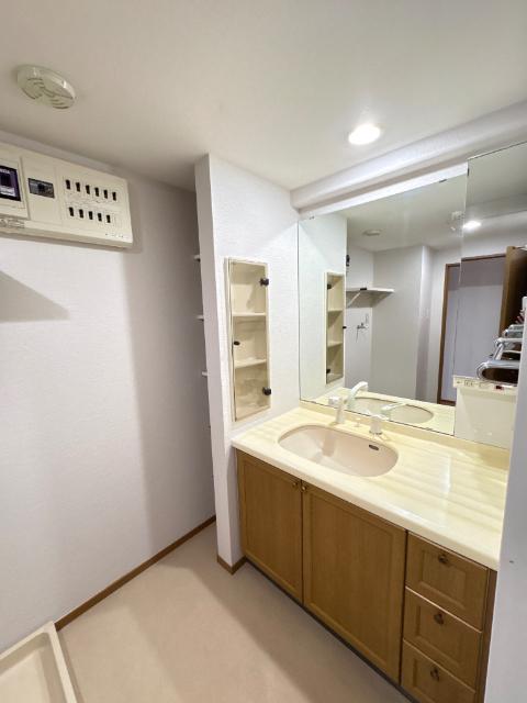 アルファグランデ公津の杜（0313） 洗面