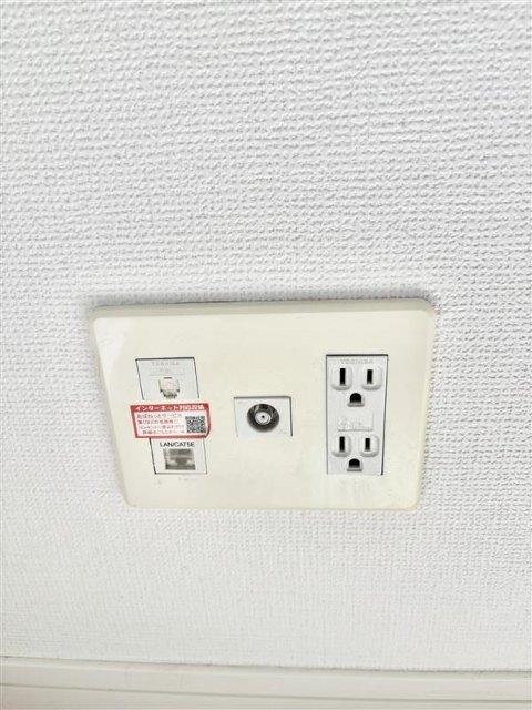 シオン（0101） その他