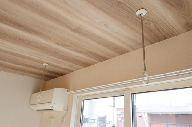 ルミナスビラGRANDE（101） 部屋画像