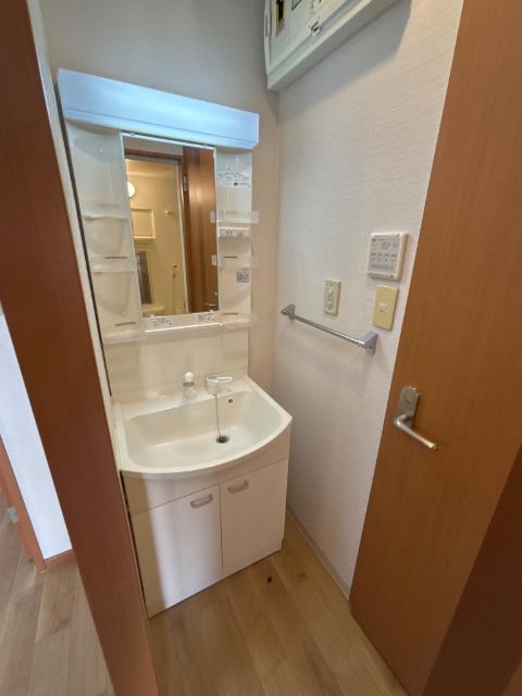 Ｗｅｌｌｎｅｓｓ　Ｉｓｌａｎｄ　Ｔ（0101） 洗面