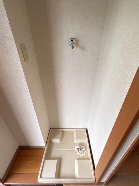 Ｗｅｌｌｎｅｓｓ　Ｉｓｌａｎｄ　Ｔ（0101） その他