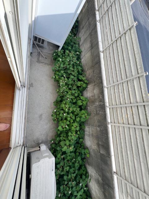 エステート千間台１番館（0108） 庭