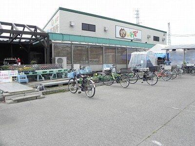 かしわで：2350m