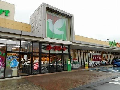 ヨークマート青葉台店：450m