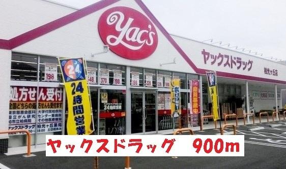 ヤックスドラッグ光ヶ丘店：900m
