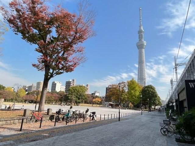 墨田区立墨田公園　そよ風ひろば：2400m