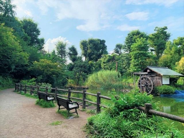 渋谷区立鍋島松濤公園：300m