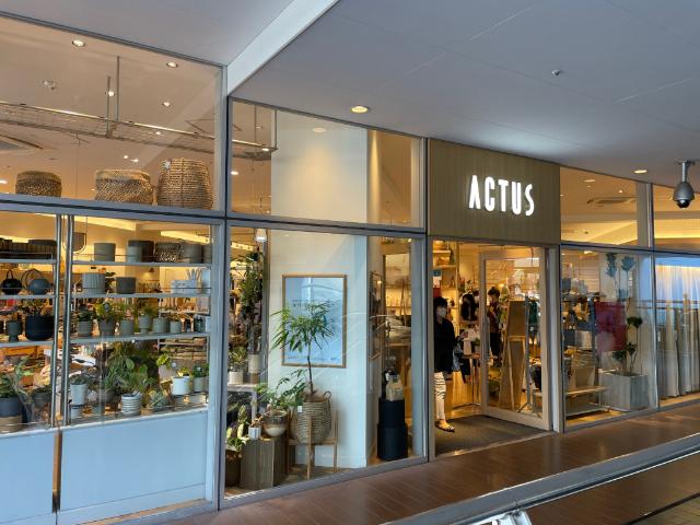 アクタスラゾーナ川崎店：839m