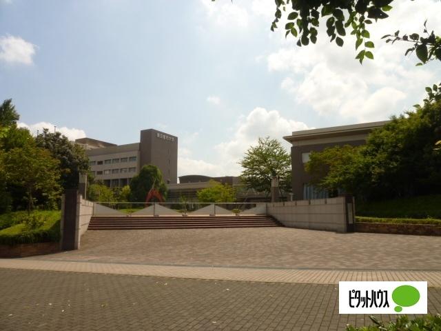 東京都市大学横浜キャンパス図書館：1376m