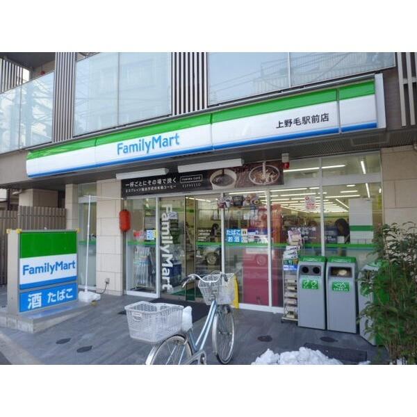 ファミリーマート上野毛駅前店：184m